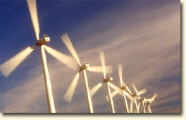 wind farm